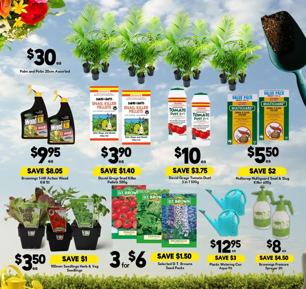 Drakes catalogue - valid from 10.09.2025 | Page: 19 | Products: Herb, Lettuce, Watering can, Weed