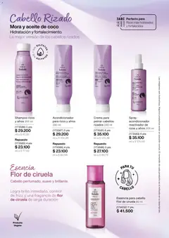 Natura - Catálogo 01A/2026 -  Vista previa de la revista de la tienda Natura valido desde el 02.01.2026 | Página: 135