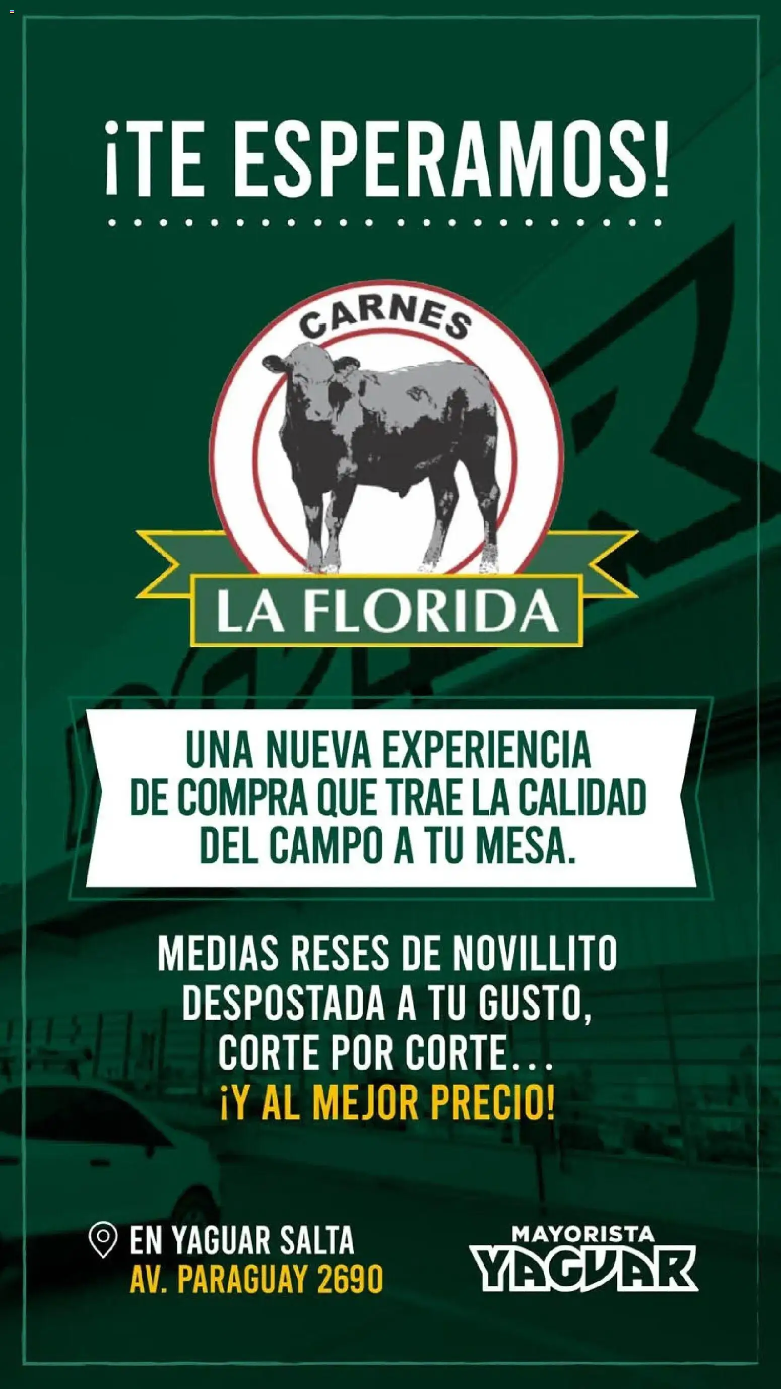 Yaguar - Oferta Semanal Salta │ válido desde el 20.04.2026 | Página: 3 | Productos: Medias