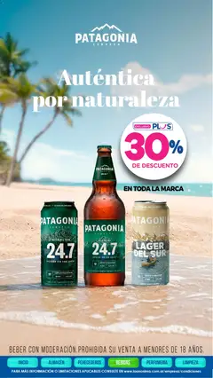Vista previa La Anonima catálogo válido desde el 29.01.2026 | Página: 33 | Productos: Cerveza