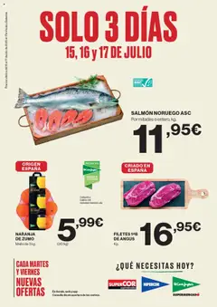 Vista previa de El Corte Inglés - Catálogo, nuevo folleto de la tienda, válido en México a partir del 15.07.2025