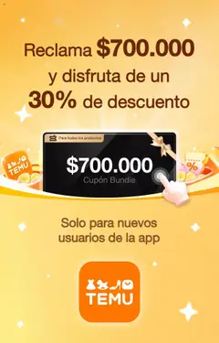 Temu -  Vista previa de la revista de la tienda OFFERS valido desde el 24.07.2025