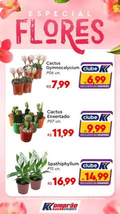 Komprao Atacadista - Ofertas Flores - Pré-Visualização do folheto da loja Komprao Atacadista, válido de 23.01.2026