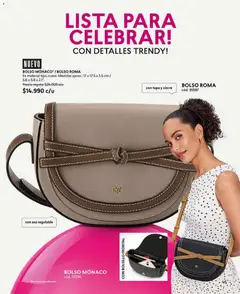 Catálogo CyZone Campaña 1 válido desde el 01.01.2026 | Página: 45 | Productos: Bolso