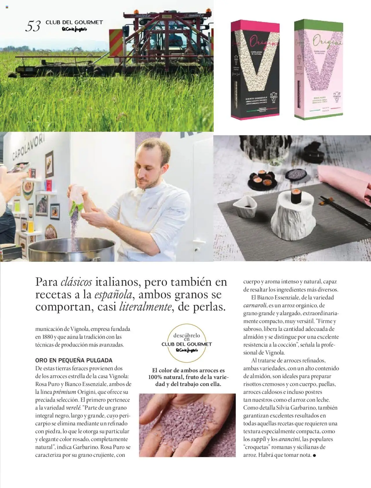 Nuevas ofertas de El Corte Inglés válidas en toda la República Mexicana desde el 27.06.2025. ¡Encuentra las mejores ofertas en El Corte Inglés Gourmet Magazin! | Página: 53 | Productos: Arroz