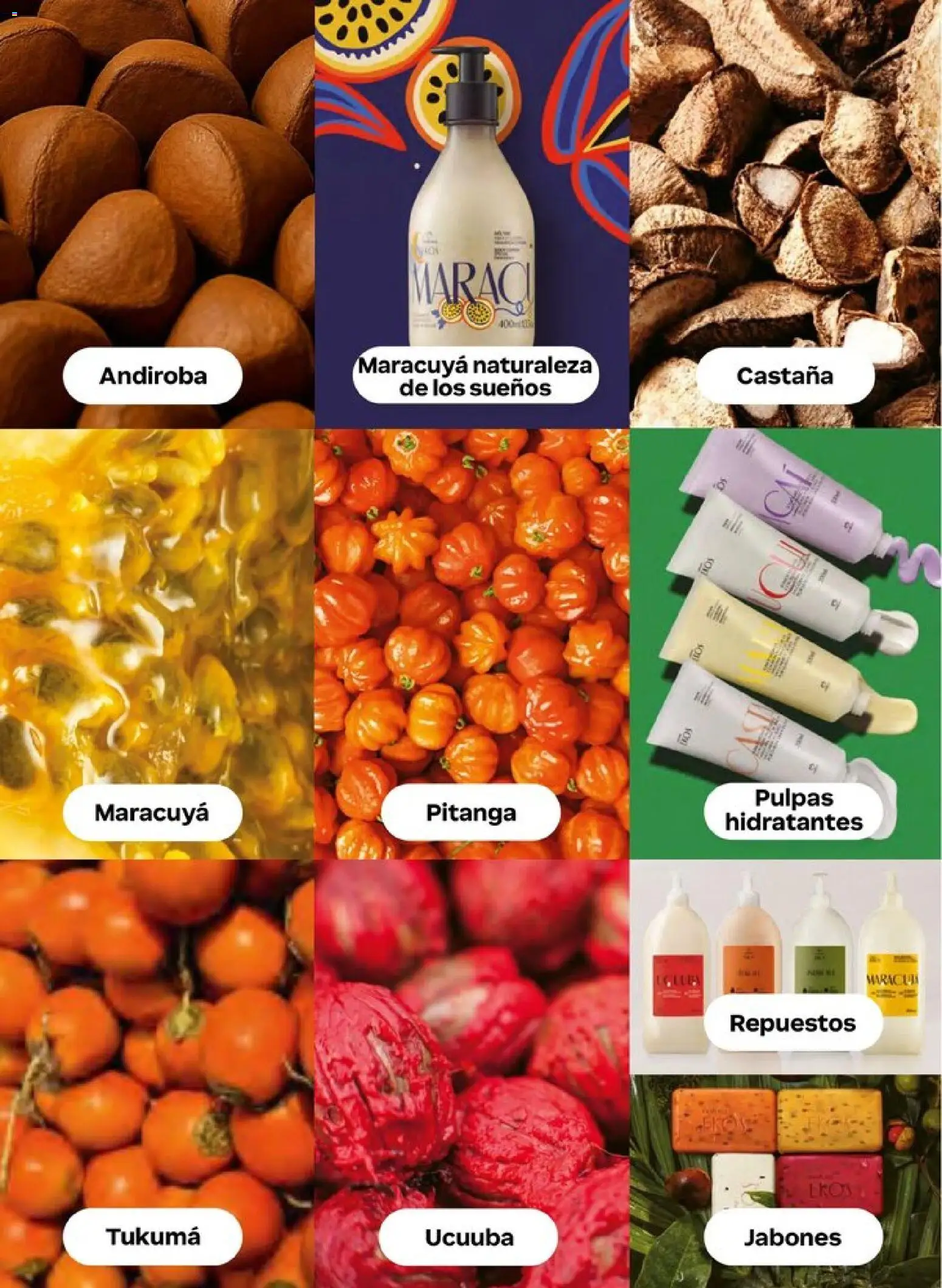 Nuevas ofertas de Natura válidas en toda la República Mexicana desde el 20.12.2025. ¡Encuentra las mejores ofertas en Natura campaña 1 2026! | Página: 106