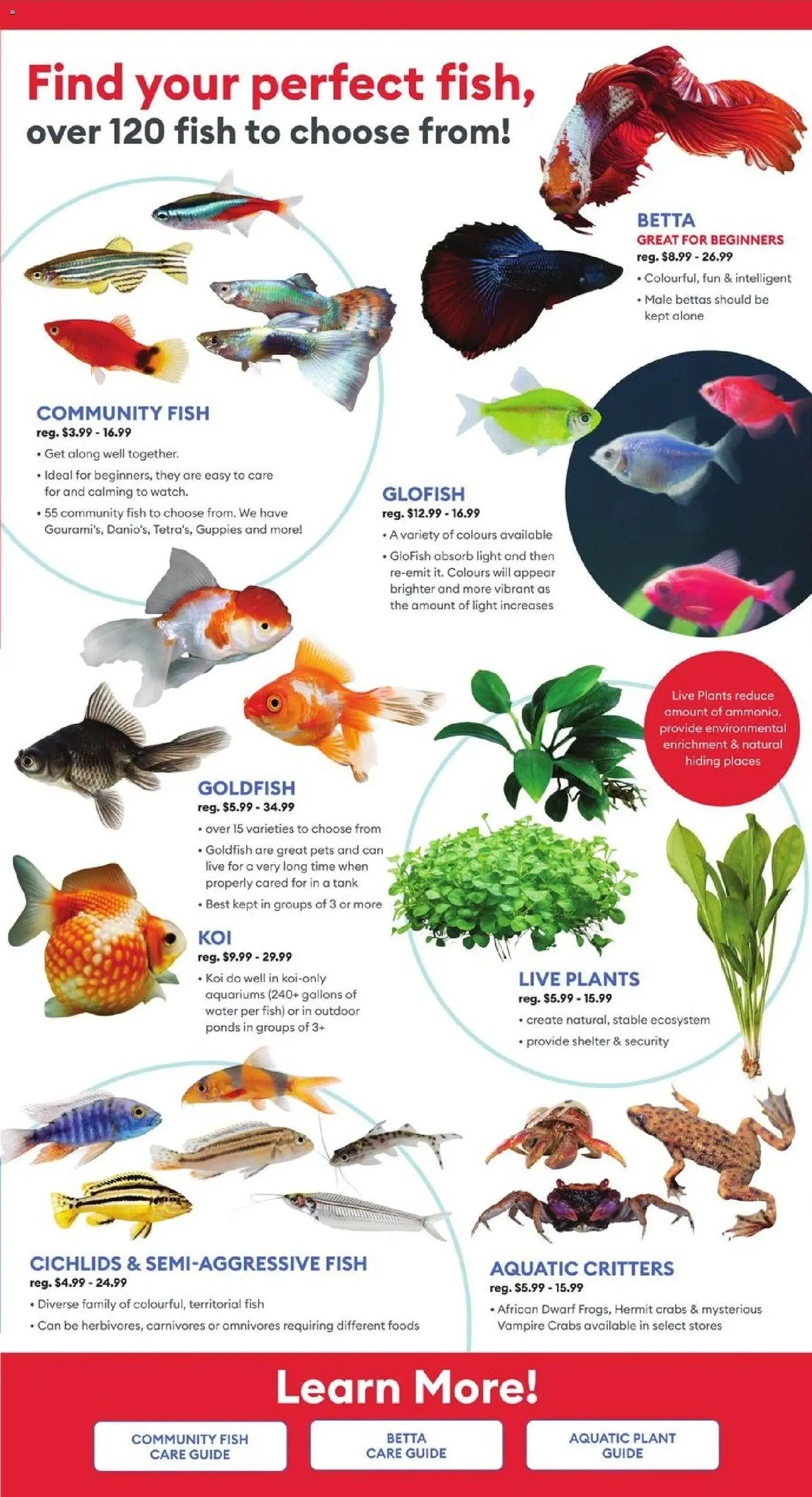 Petsmart flyer valid from 02.03.2026 | Page: 2 | Products: Fish