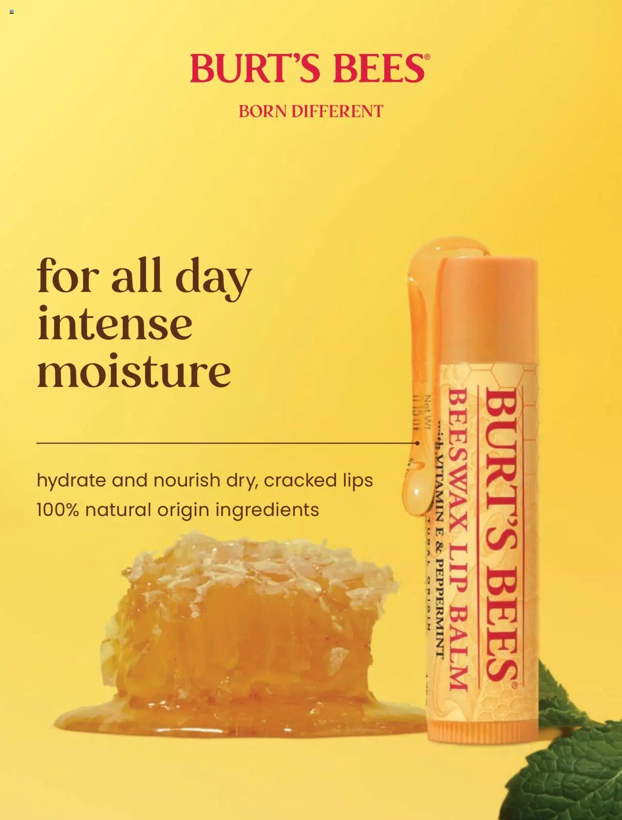 Coles catalogue - valid from 07.04.2025 | Page: 22