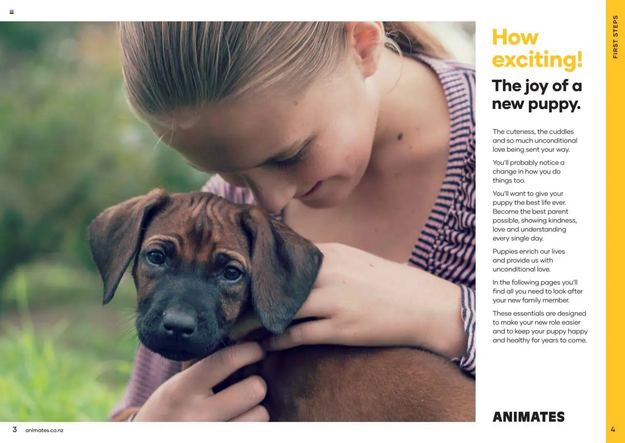 Animates catalogue from 01.01.2024 | Page: 3