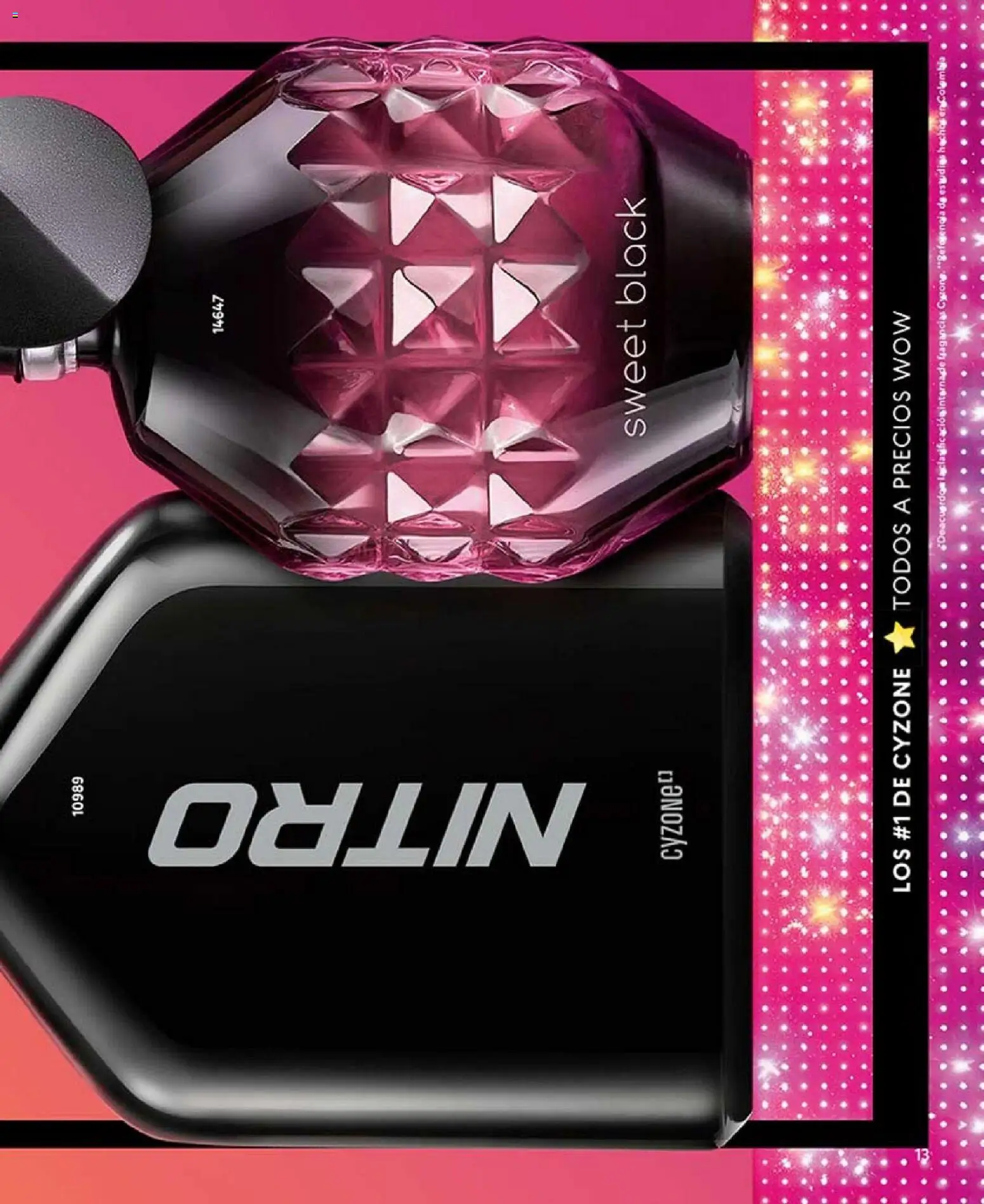 CyZone revista - valida desde el 01.02.2026 | Página: 13