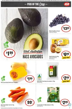 Preview of IGA Catalogue WA - valid from 29.10.2025 | Page: 10