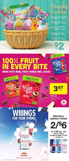 Preview of Fruit to Go Bites, Sour Watermelon, 8 x 14 g pouches (112 g) from shop Giant Tiger valid from 18.03.2026 | Page: 13