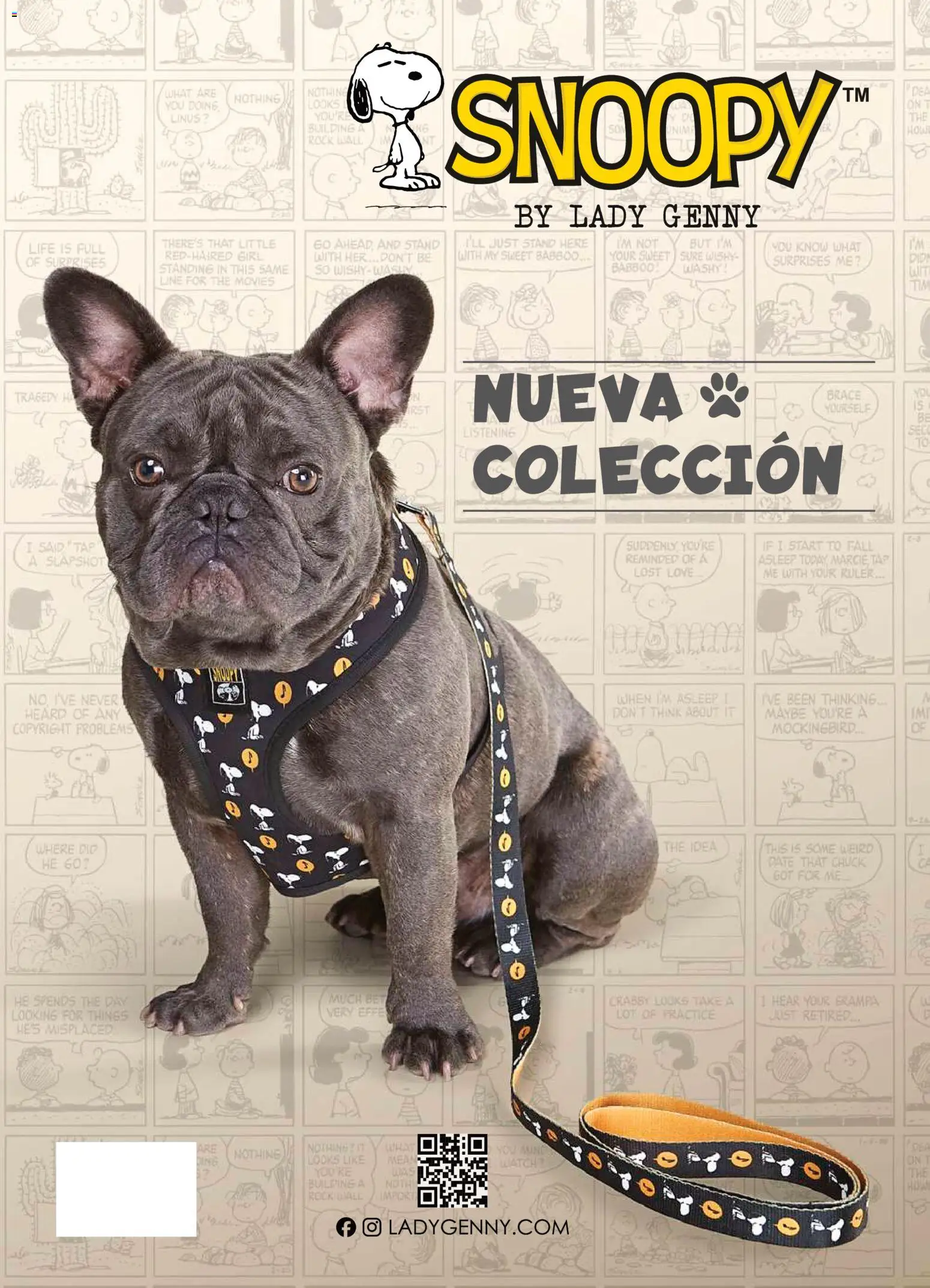 Ofertas Lady Genny │ válido desde el 09.02.2026 | Página: 216 | Productos: Grampa