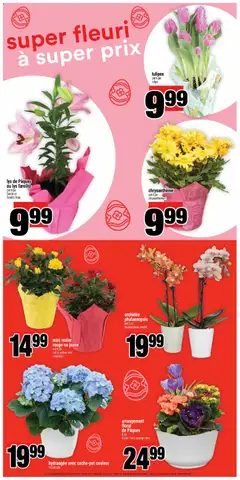 Preview of Super C weekly flyer - Chandler from shop Super C valid from 26.03.2026 | Page: 11