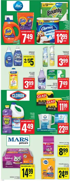Preview of Food Basics - Cornwall from shop Food Basics valid from 06.11.2025 | Page: 13 | Products: Beef, Detergent, Chicken