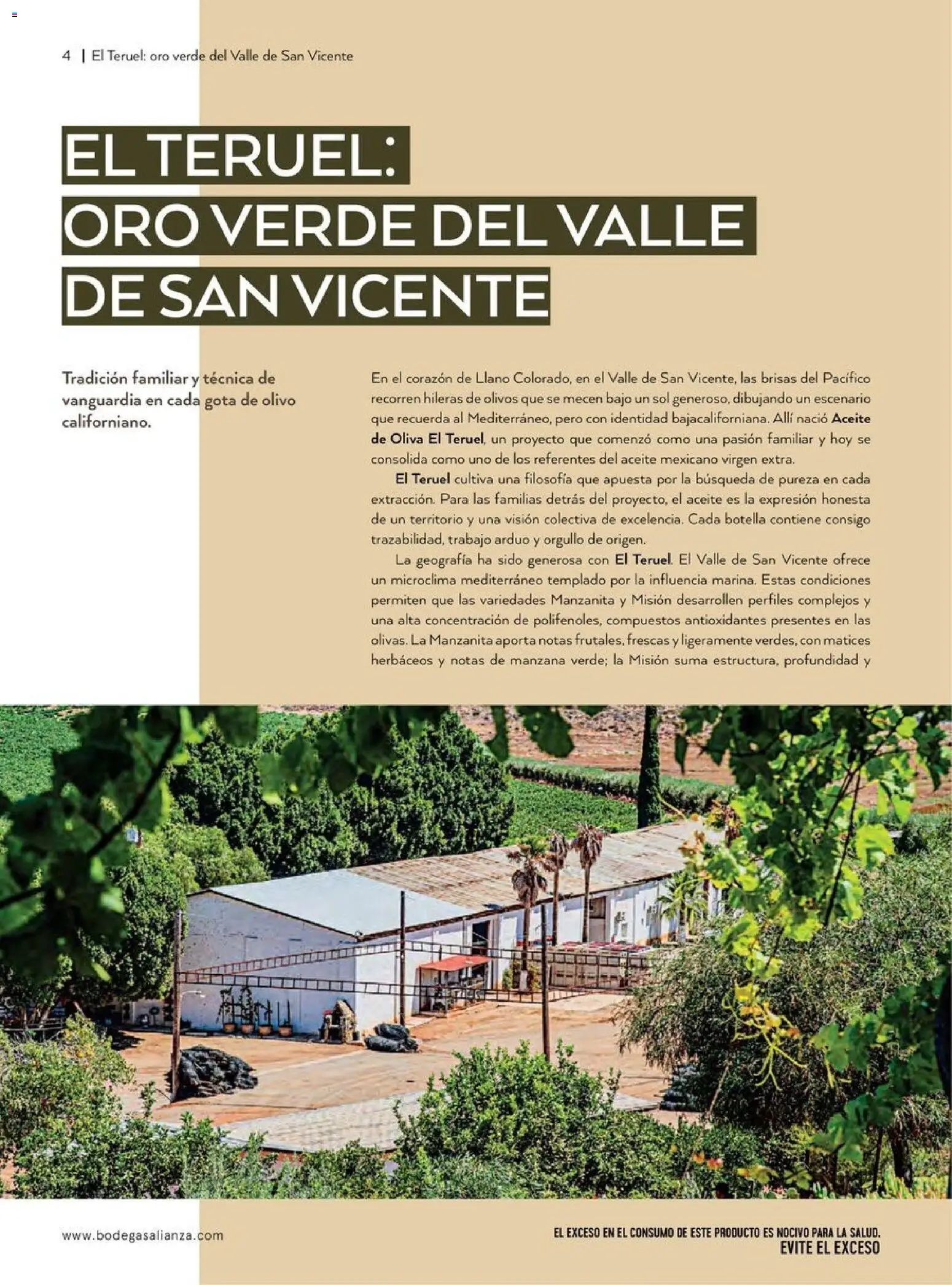 Nuevas ofertas de Bodegas Alianza válidas en toda la República Mexicana desde el 01.04.2026. ¡Encuentra las mejores ofertas en Bodegas Alianza catálogo! | Página: 6 | Productos: Aceite de oliva, Manzana, Aceite, Botella