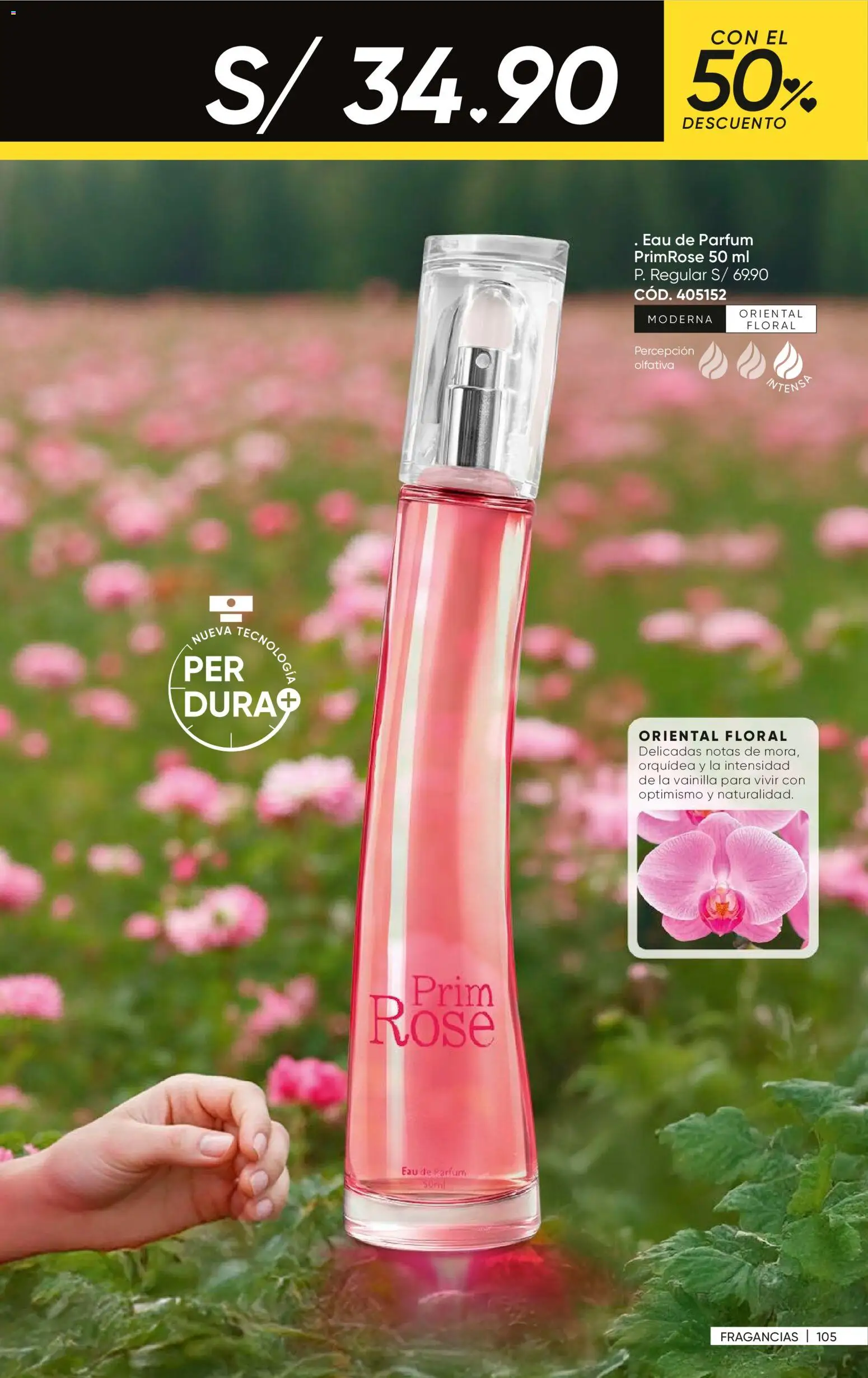 Catálogo Azzorti válido desde 07.01.2026 | Página: 106