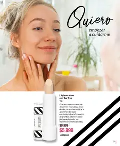 Bagués catálogo │ válido desde el 30.06.2025 | Página: 77 | Productos: Lapiz secativo, Té