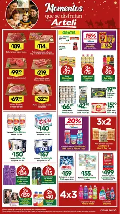 Vista previa de Arteli folleto Tuxpan, nuevo folleto de la tienda, válido en México a partir del 03.01.2026