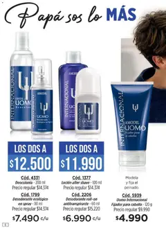 Vista previa Amodil - Campaña 8 válido desde el 08.04.2026 | Página: 6 | Productos: Papa, Fijador, Loción, Desodorante