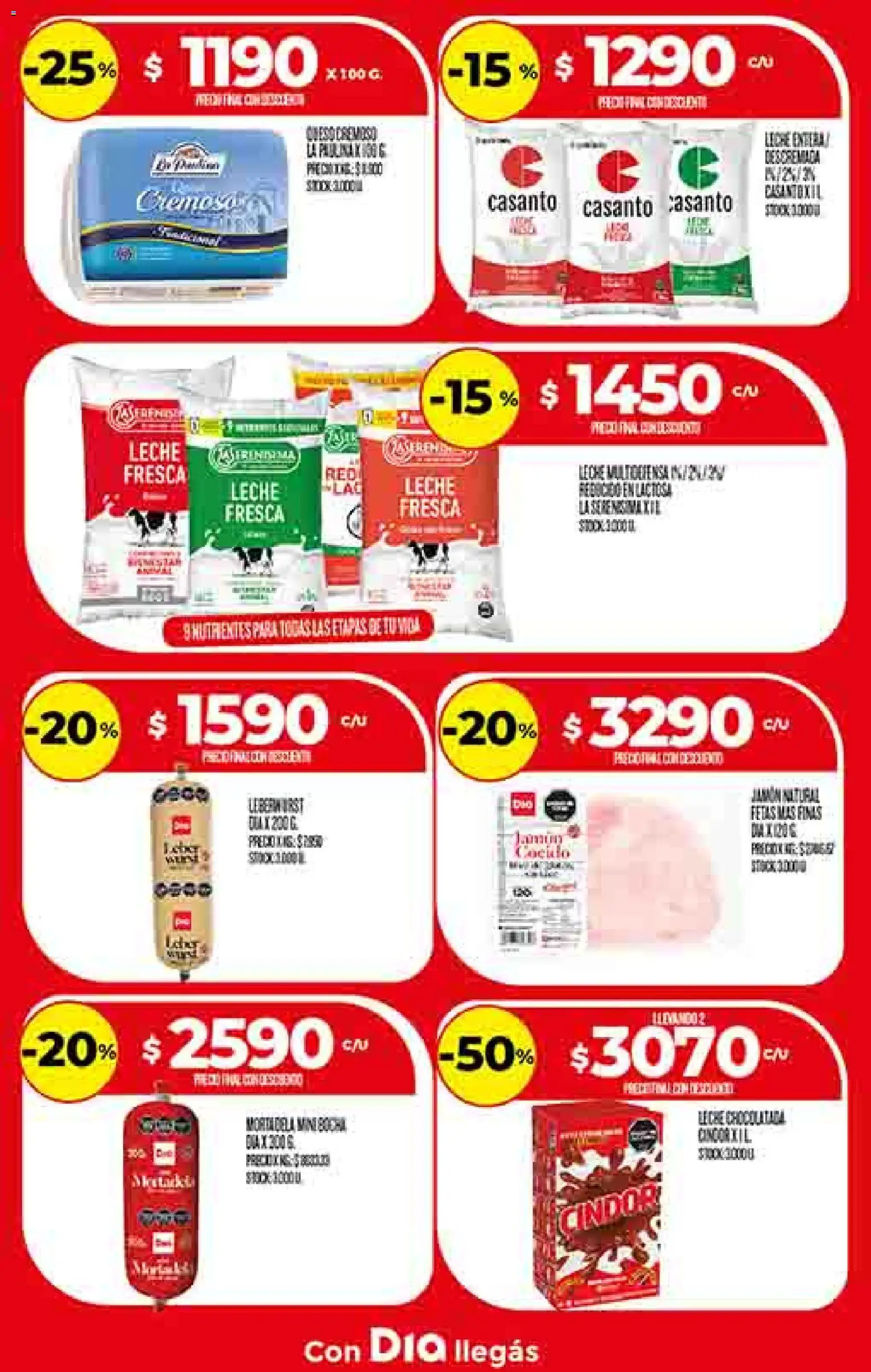 Dia - Ofertas - Salta y Jujuy │ válido desde el 05.11.2025 | Página: 10 | Productos: Leche, Chocolatada