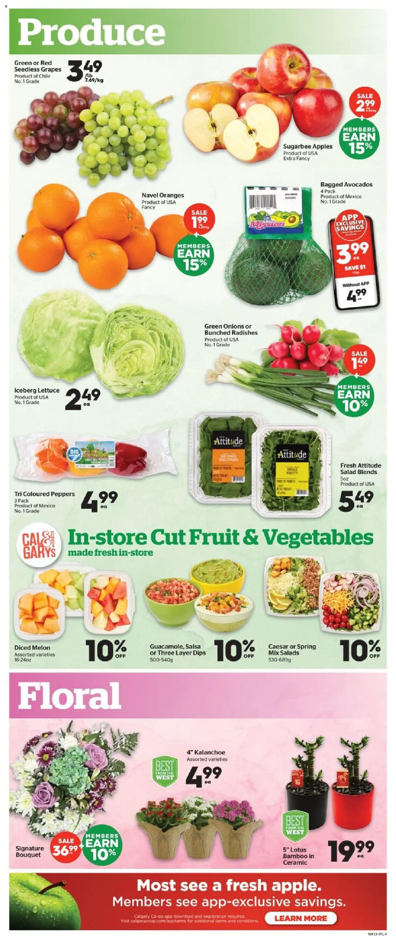Calgary Co-op flyer valid from 29.01.2026 | Page: 5 | Products: Salad, Apples, Oranges