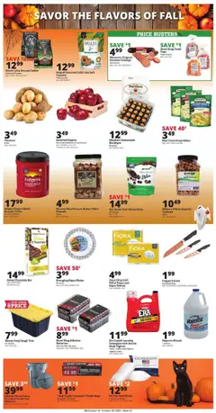 Preview of Rural King weekly ads valid from 16.10.2025 | Page: 4