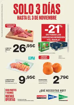 Vista previa de El Corte Inglés catálogo, nuevo folleto de la tienda, válido en México a partir del 31.10.2025