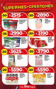 Vista previa Supermercado DIA Ofertas válido desde el 22.10.2025 | Página: 11 | Productos: Queso, Salame, Crema
