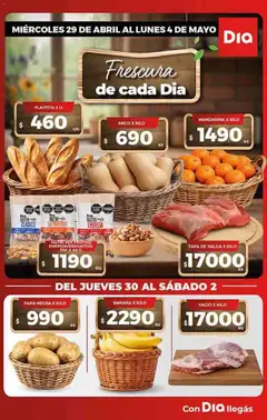 Vista previa Dia - Ofertas - Todas las tiendas válido desde el 29.04.2026