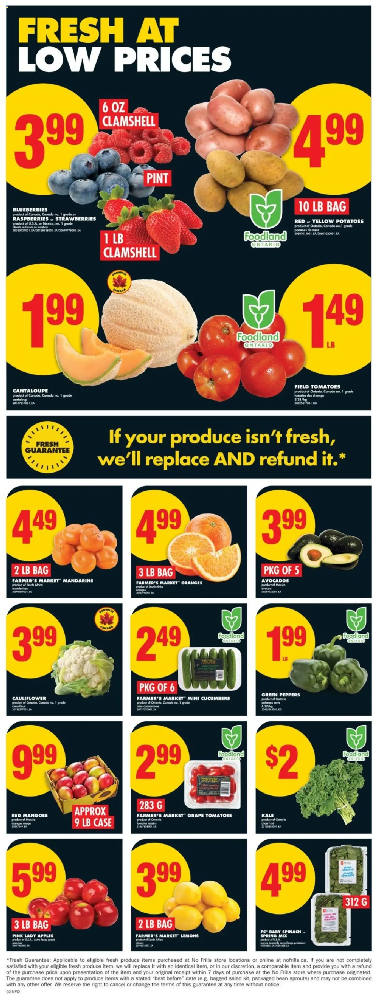 No Frills flyer valid from 14.08.2025 | Page: 3 | Products: Strawberries, Cucumbers, Case, Oranges