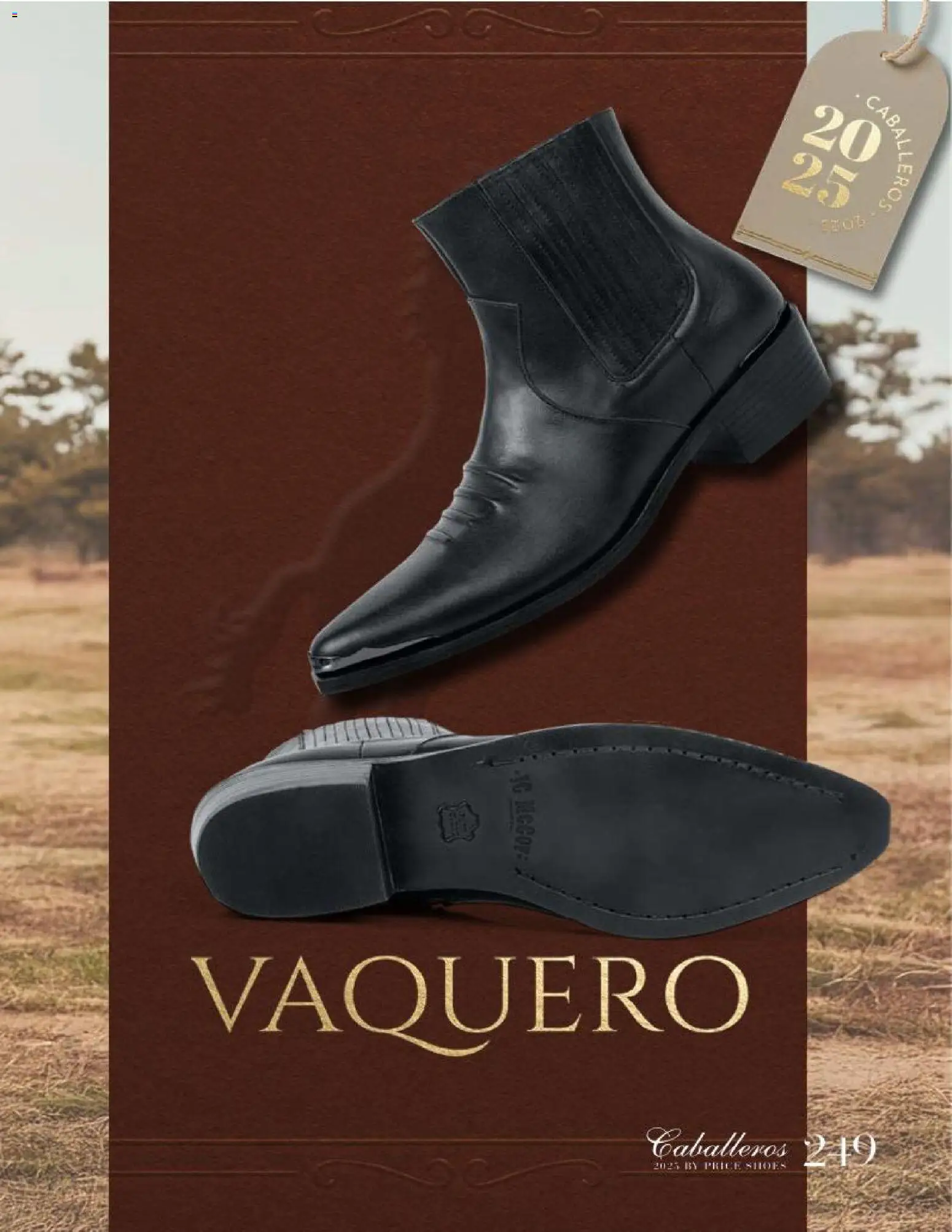 Nuevas ofertas de Price Shoes válidas en toda la República Mexicana desde el 26.11.2025. ¡Encuentra las mejores ofertas en Price Shoes catálogo Caballeros! | Página: 249