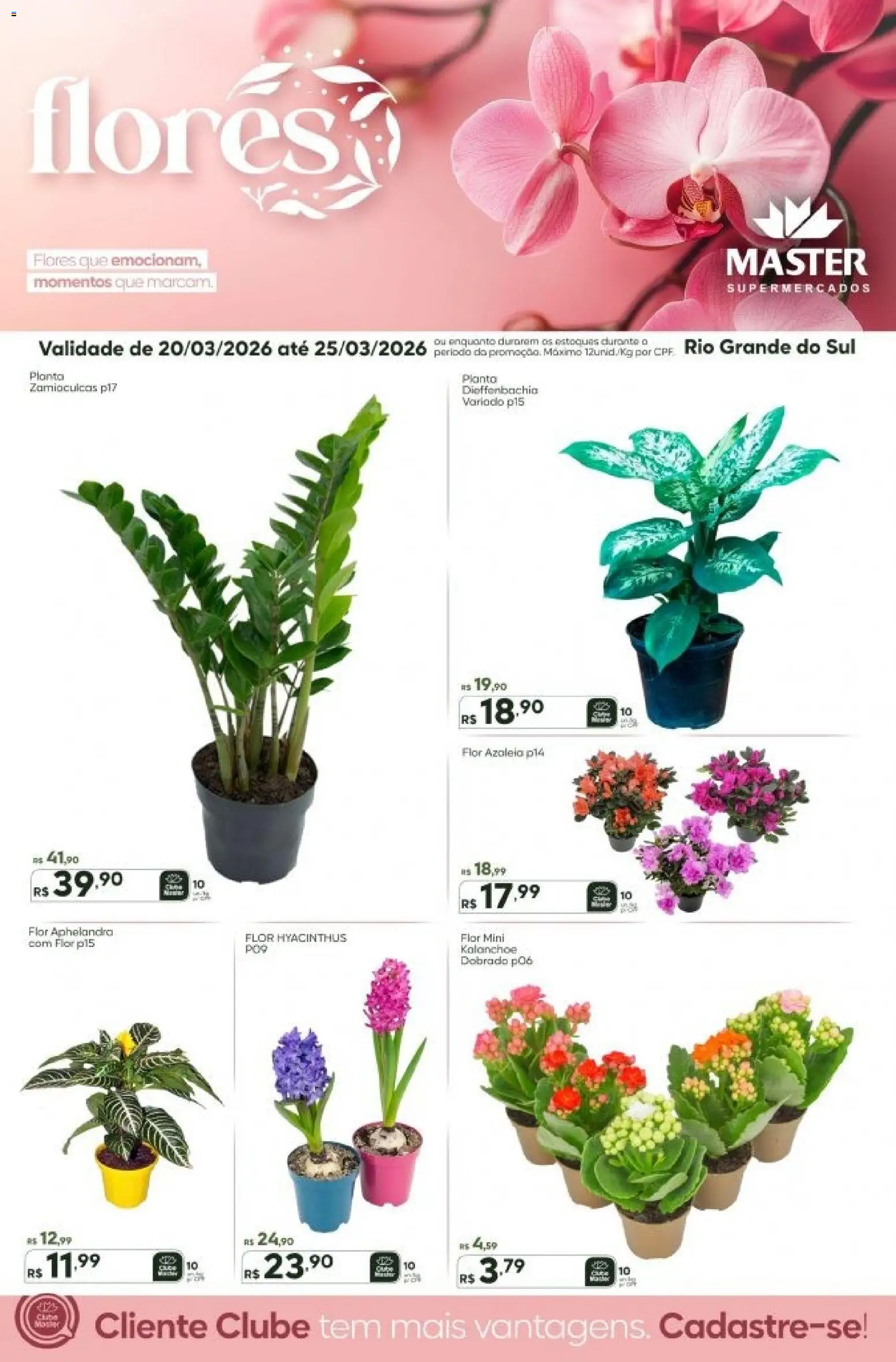 Master Folheto - válido de 20.03.2026 | Página: 1 | Produtos: Flores