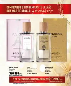 Vista previa Bagués - Catálogo válido desde el 17.11.2025 | Página: 7 | Productos: Té