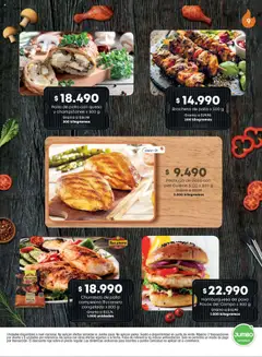 Jumbo - Catalog especial carnes -  Vista previa de la revista de la tienda Jumbo valido desde el 15.10.2025 | Página: 9 | Productos: Pollo, Sobre, Queso