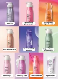 Vista previa de folleto Natura - Ciclo 2 de la Natura válido desde 13.01.2026 | Página: 125 | Productos: Té, Crema