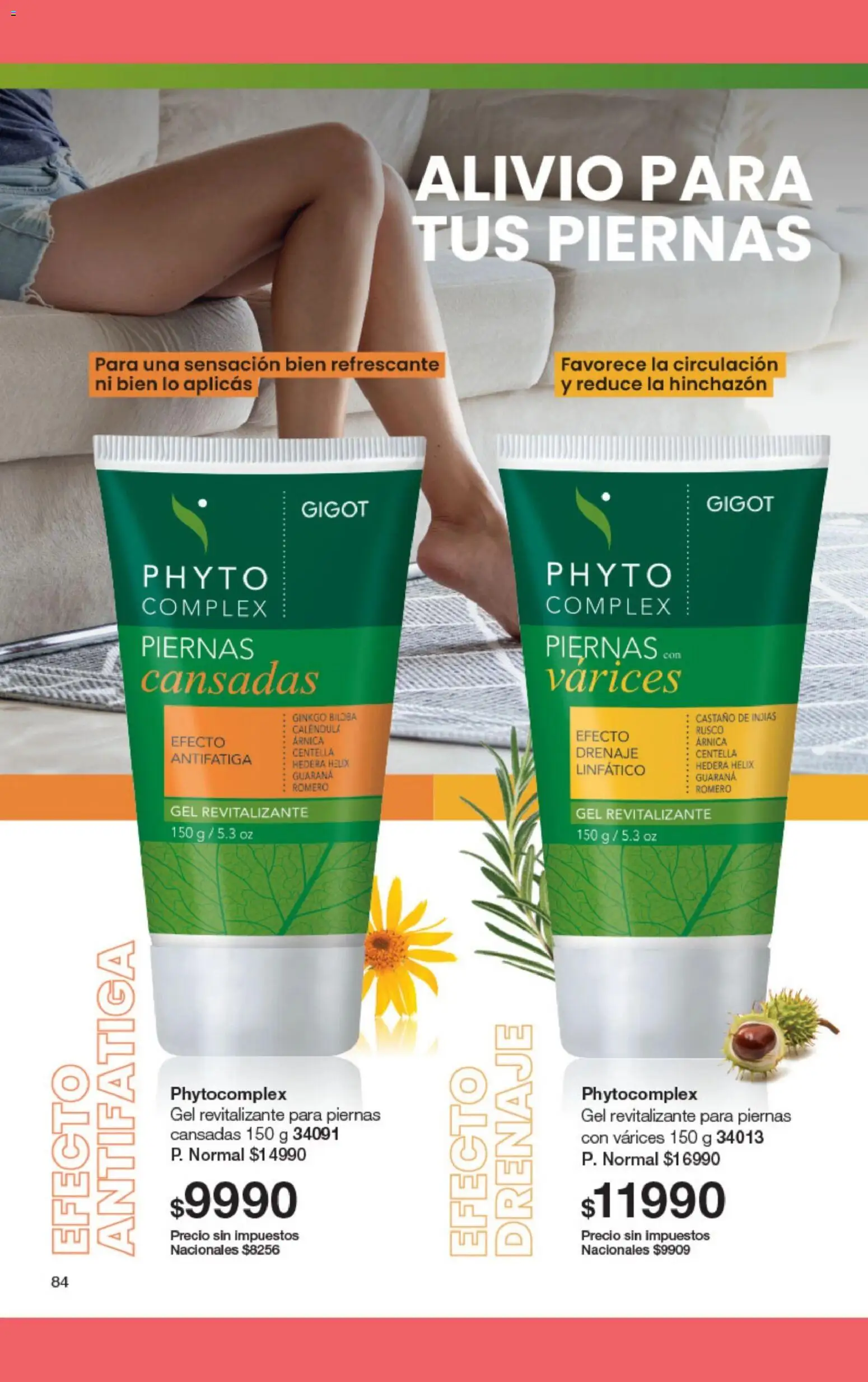 Gigot catálogo 02 │ válido desde el 01.02.2026 | Página: 88