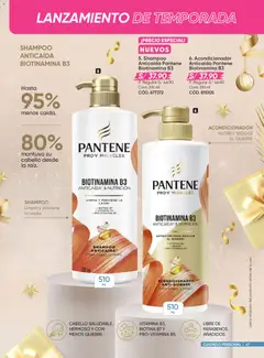 Vista previa de folleto Azzorti - Black Friday de la Azzorti válido desde 03.11.2025 | Página: 47 | Productos: Shampoo, Acondicionador