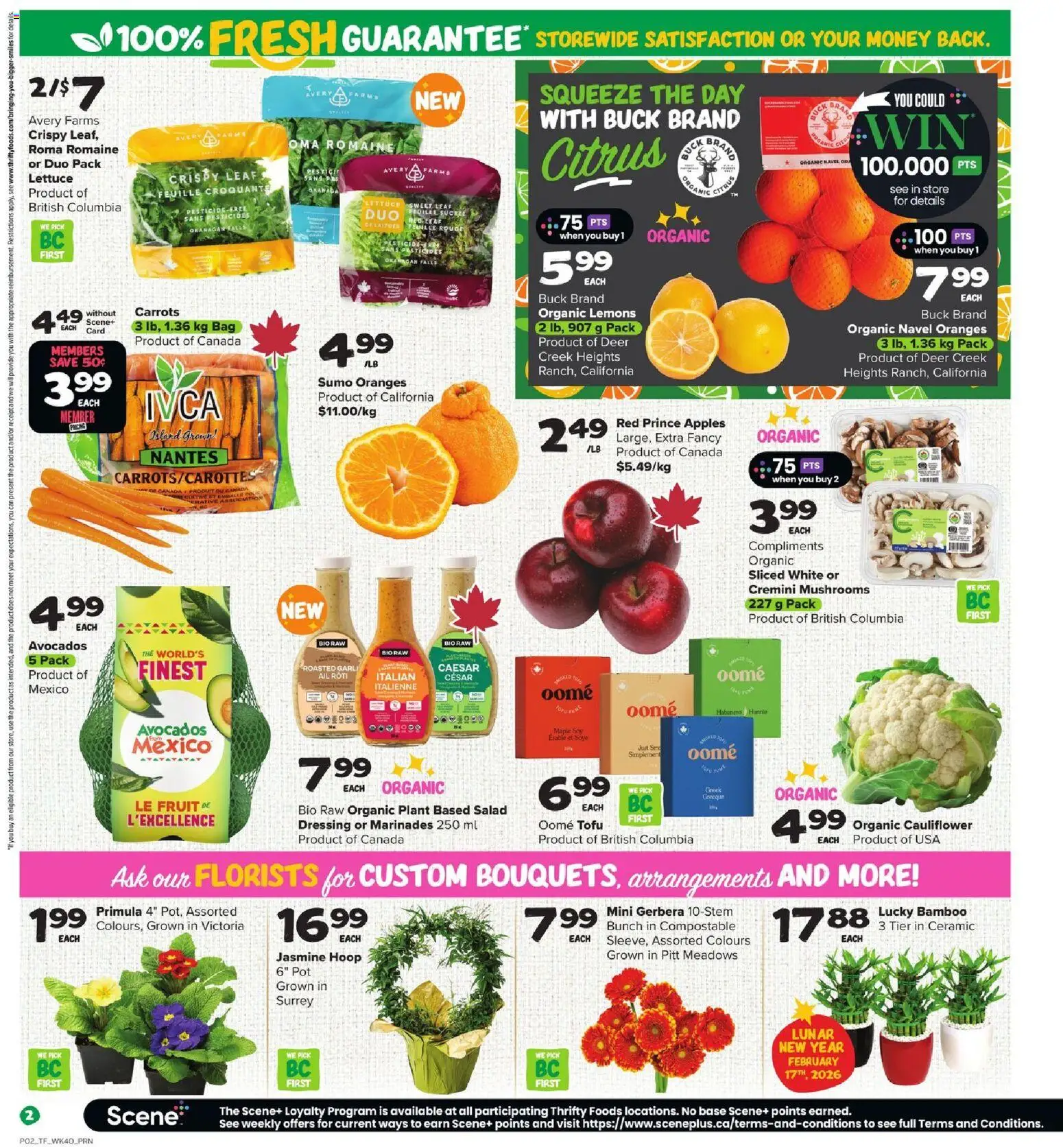 Thrifty Foods flyer valid from 29.01.2026 | Page: 3 | Products: Salad, Bag, Apples, Oranges