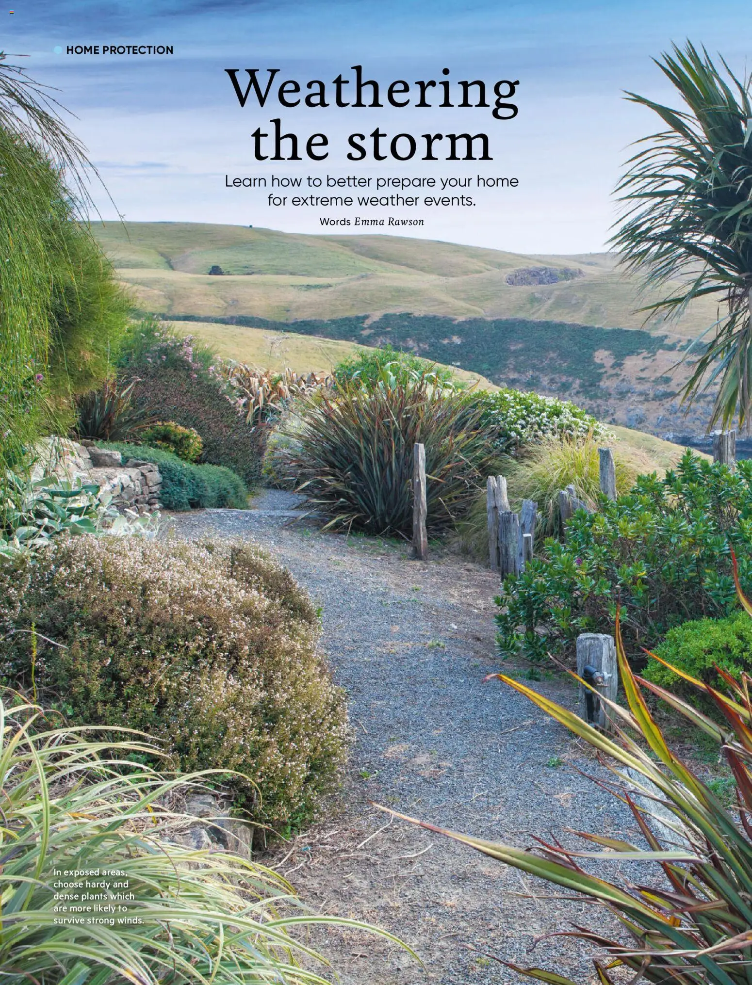 Bunnings Warehouse catalogue from 01.12.2025 | Page: 62