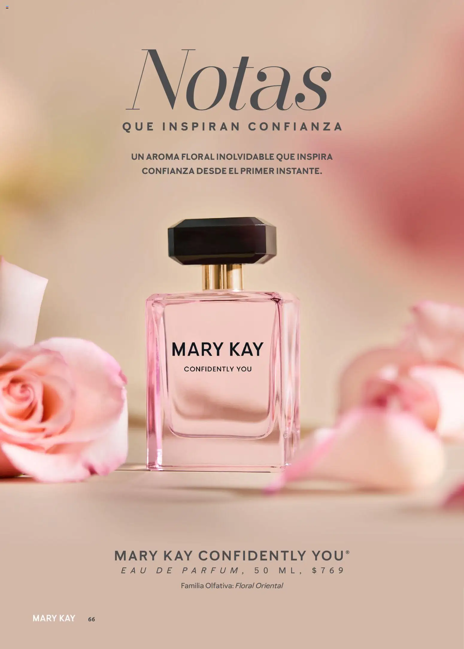 Nuevas ofertas de Mary Kay válidas en toda la República Mexicana desde el 01.02.2026. ¡Encuentra las mejores ofertas en Mary Kay catálogo! | Página: 66
