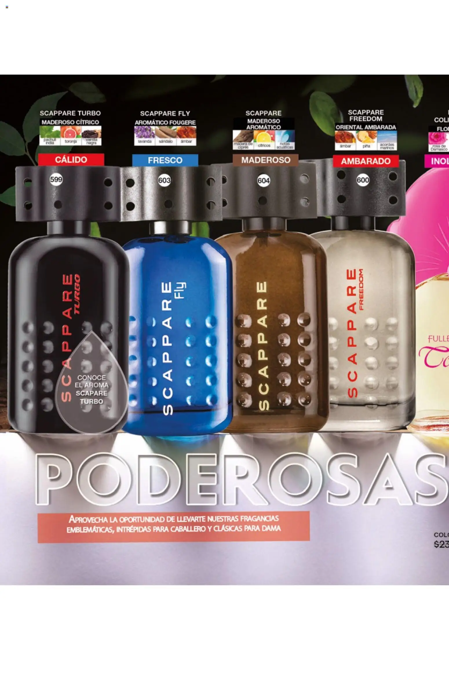 Nuevas ofertas de Fuller válidas en toda la República Mexicana desde el 04.02.2026. ¡Encuentra las mejores ofertas en Fuller campaña 22 2026! | Página: 216