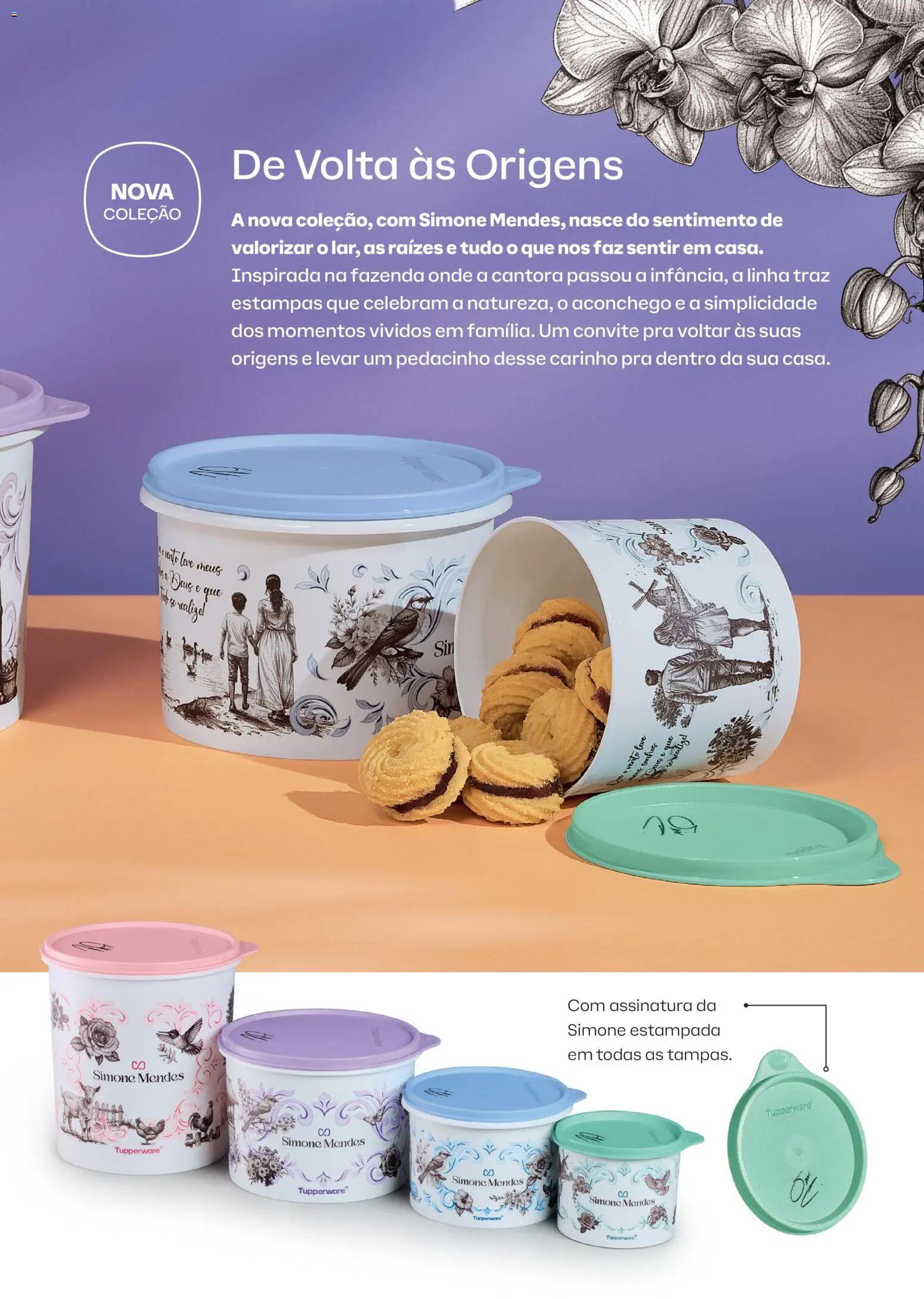 Tupperware Folheto - válido de 01.02.2026 | Página: 3
