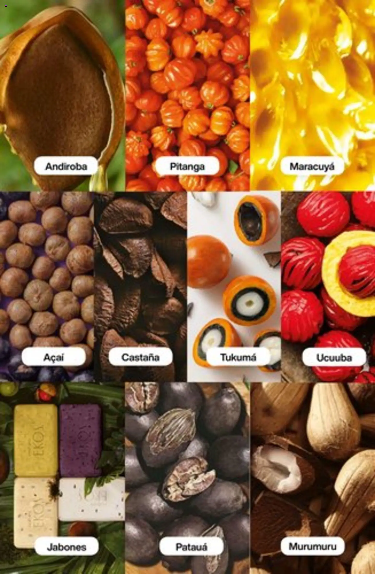 Catálogo Natura Ciclo 1/2026 │ válido desde el 04.12.2025 | Página: 189