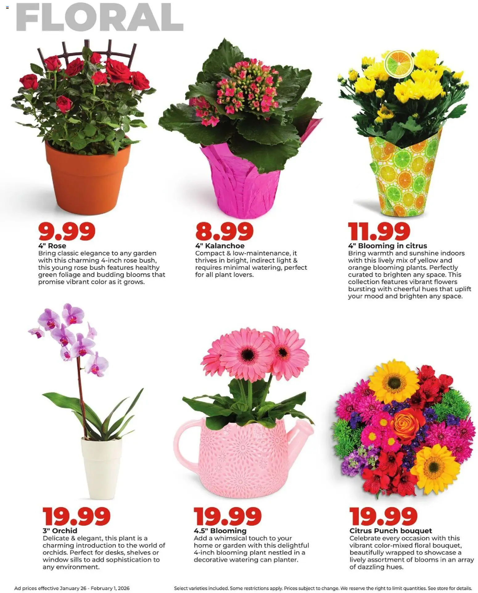 HyVee Weekly Ad - valid from 26.01.2026 | Page: 34