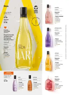 Vista previa de folleto Natura - Ciclo 2 de la Natura válido desde 13.01.2026 | Página: 62 | Productos: Perfume, EAU de Toilette