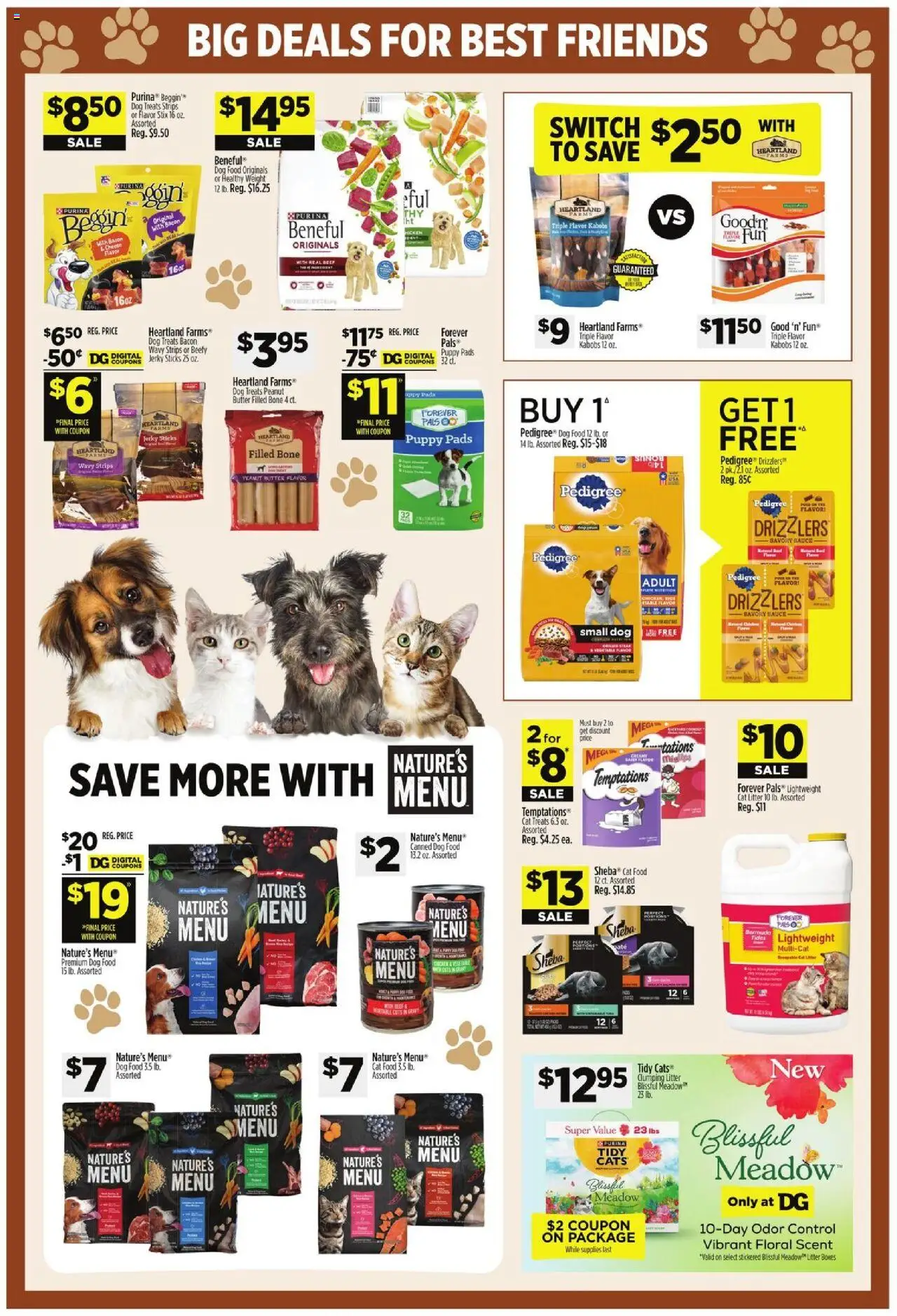 Dollar General Weekly Ad TX - valid from 06.07.2025 | Page: 15 | Products: Cat Food, Cheese, Sauce, Switch