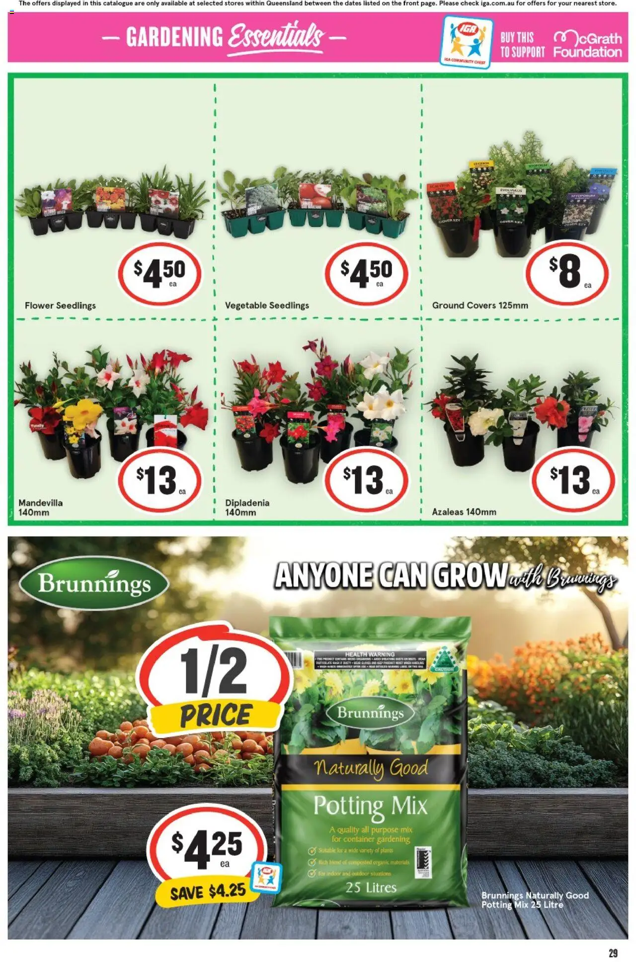 IGA catalogue - valid from 10.09.2025 | Page: 30 | Products: Foundation