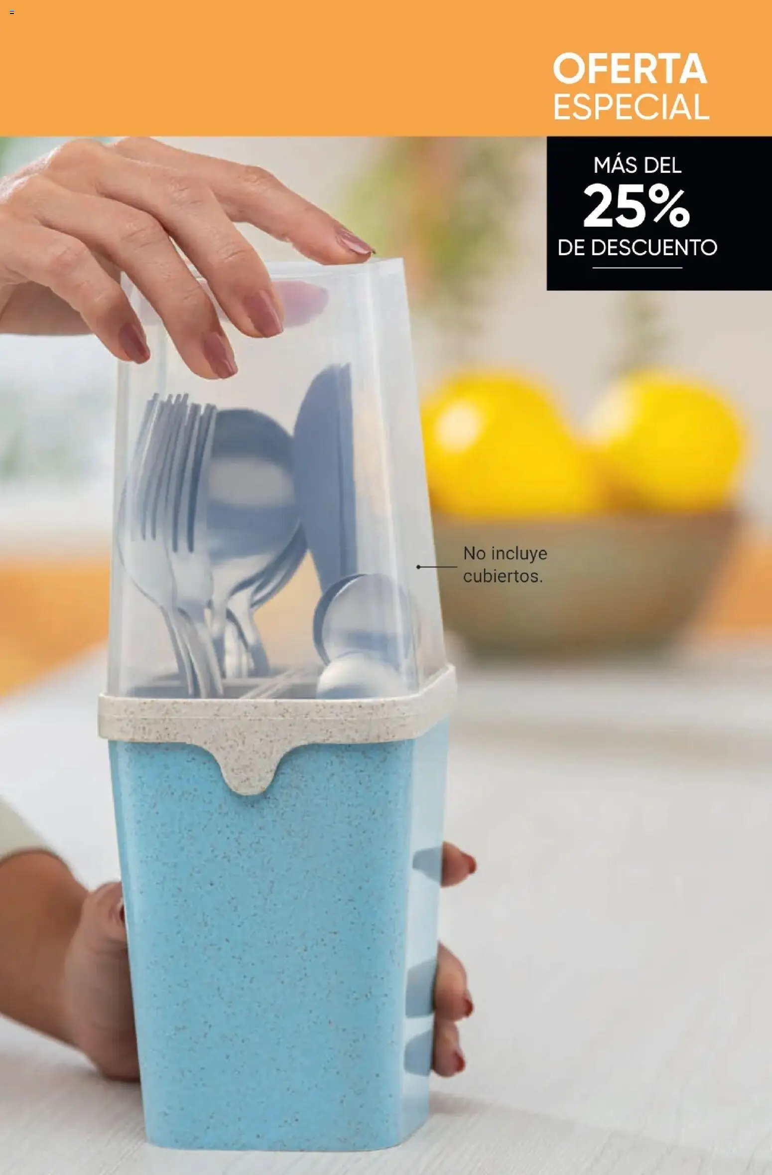 Avon revista - valida desde el 01.12.2025 | Página: 29