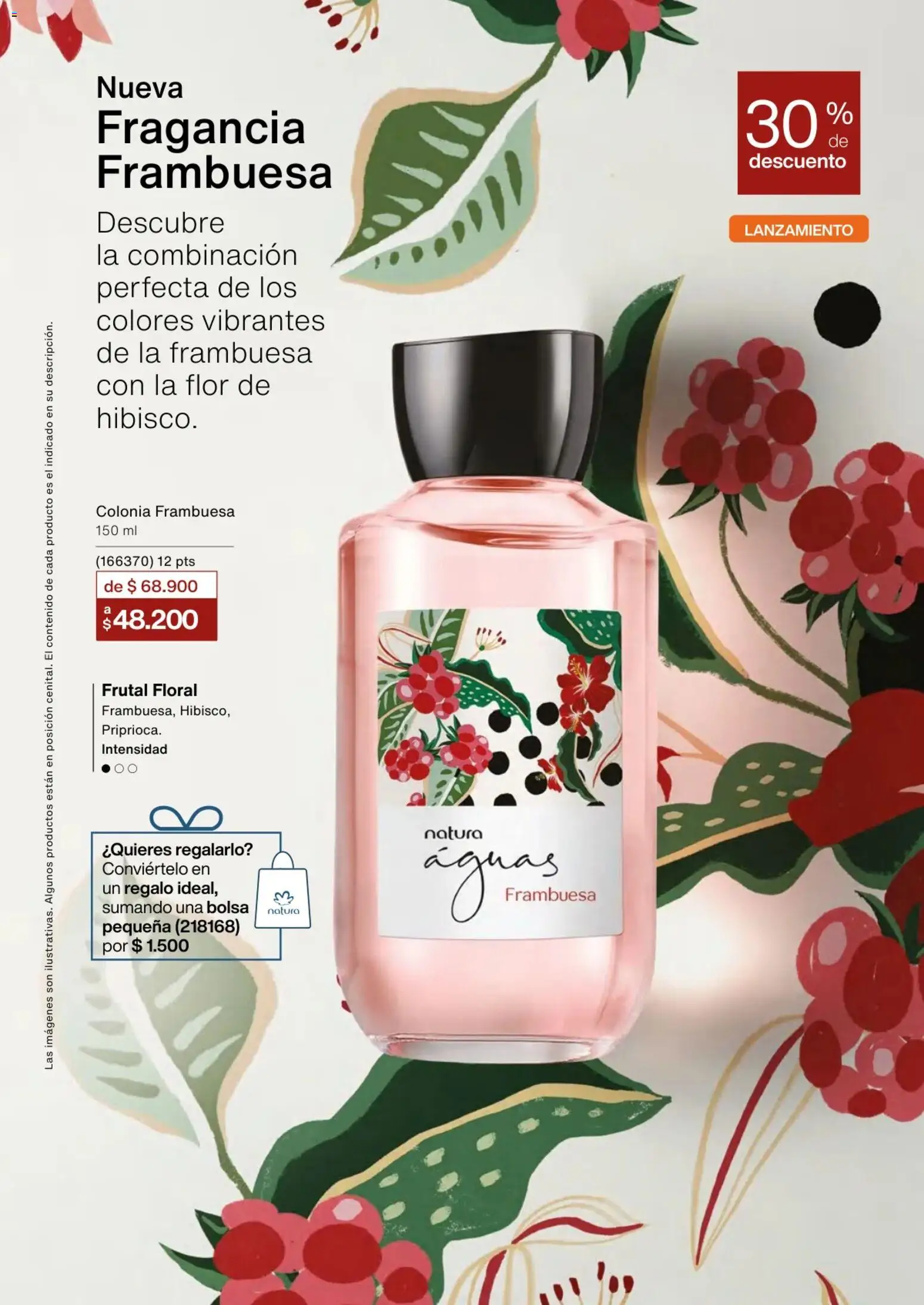 Natura revista - valida desde el 02.01.2026 | Página: 19 | Productos: Bolsa, Fragancia, Combinación